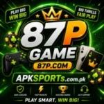 87P Game