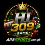 HI309 Game