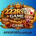 222RS Game