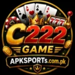 C222 Game